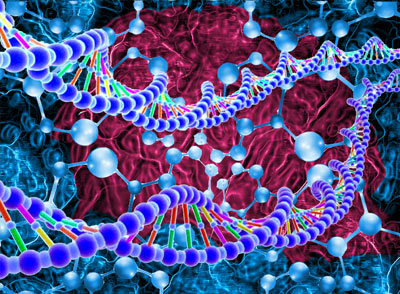 这类人群体内的左撇子基因还在，他们的后代还是会出现左撇子的情况